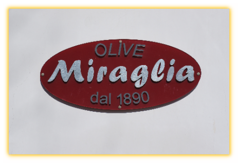 Miraglia olives from 1890